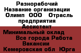 Разнорабочий › Название организации ­ Олимп, ООО › Отрасль предприятия ­ Ассистент › Минимальный оклад ­ 25 000 - Все города Работа » Вакансии   . Кемеровская обл.,Юрга г.